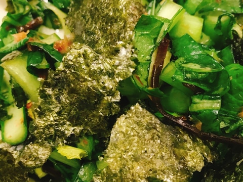 生で食べると美味しい♡小松菜の塩昆布サラダ